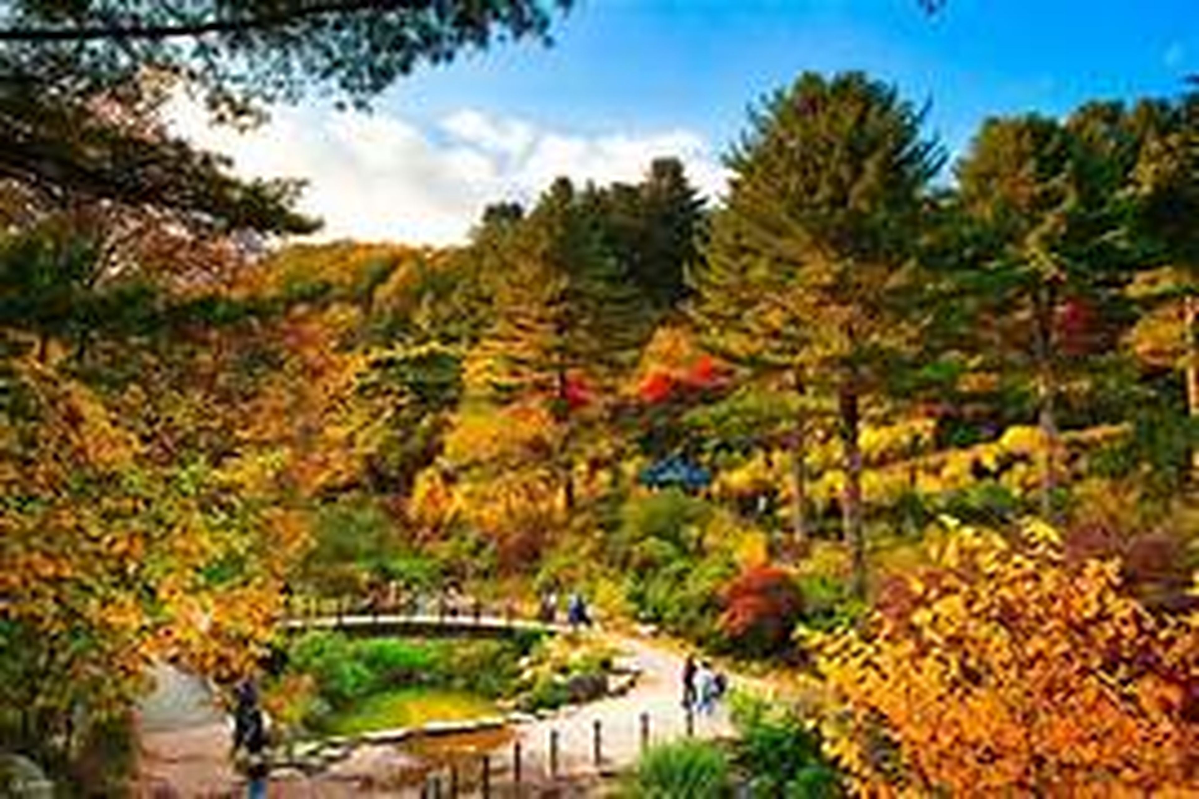 Pegas Misr Viet Nam Travel Company Limited - Hình 3